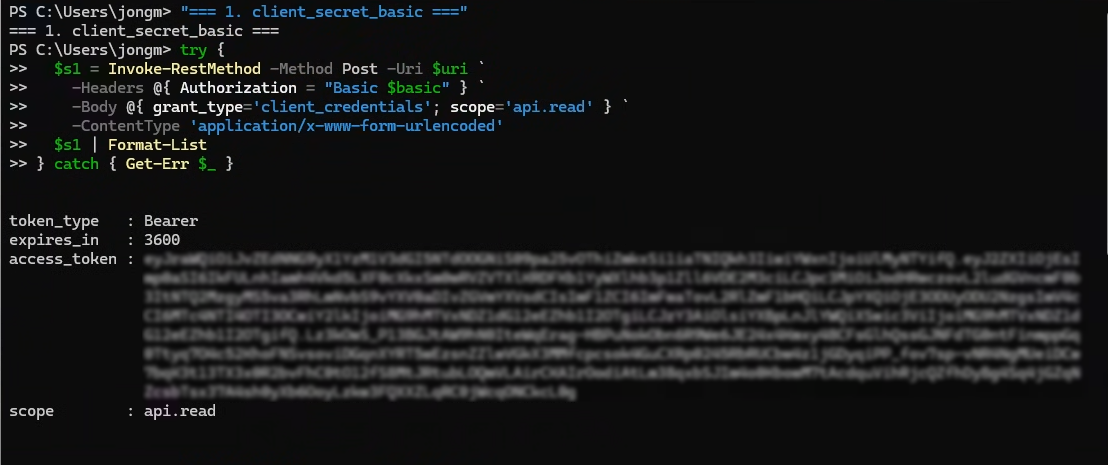 client_secret_basic 토큰 발급 결과